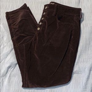 DARK PURPLE CORDUROYS